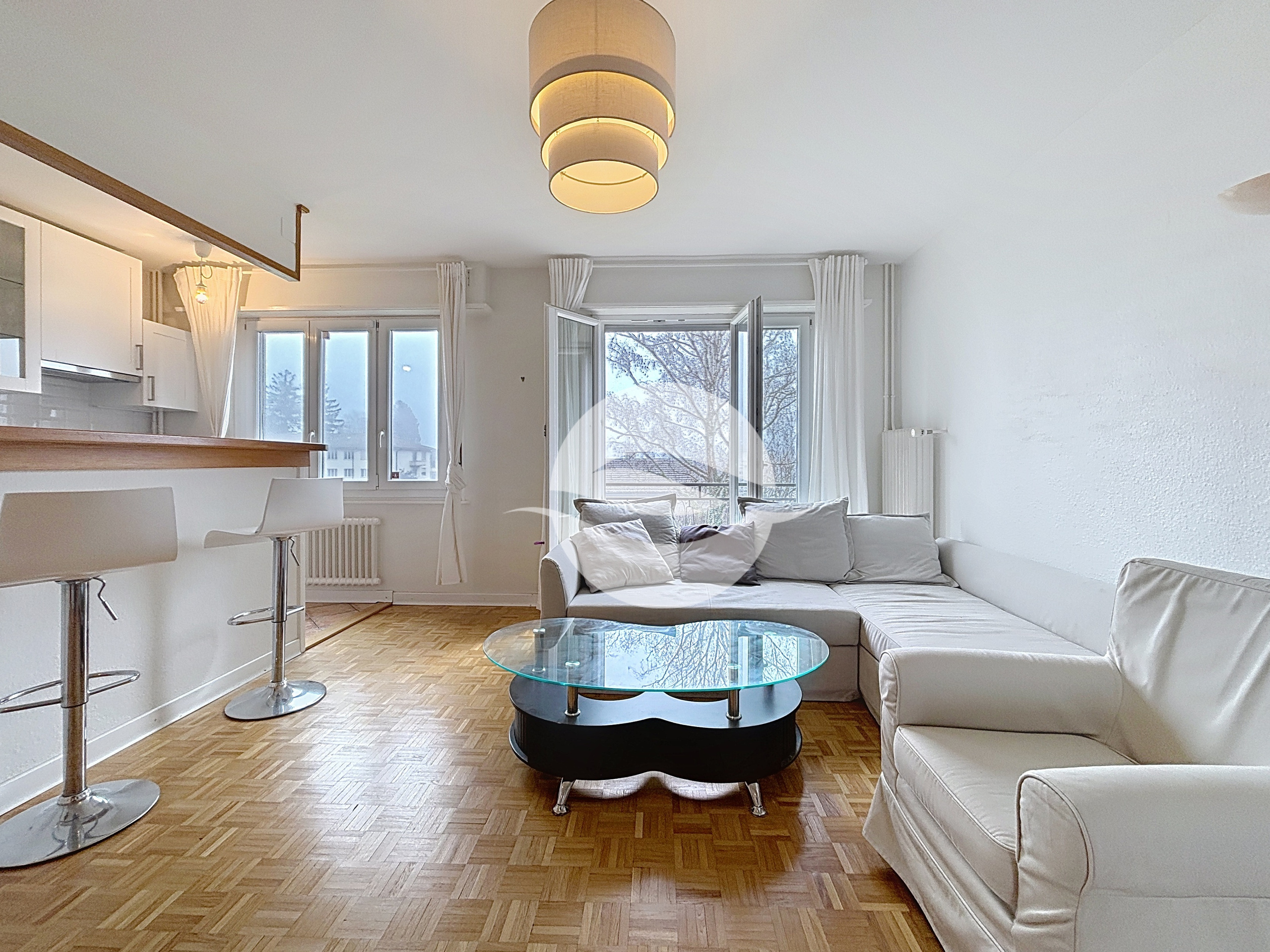 Grand salon lumineux