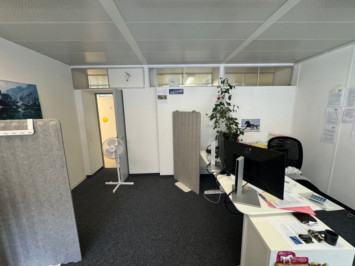 Foto 17