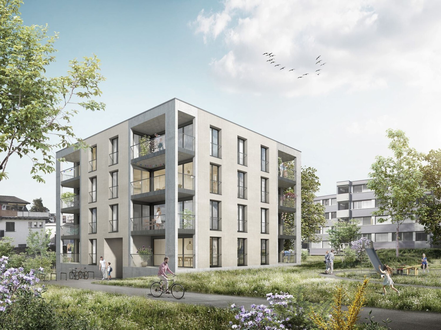 Immagine di copertina