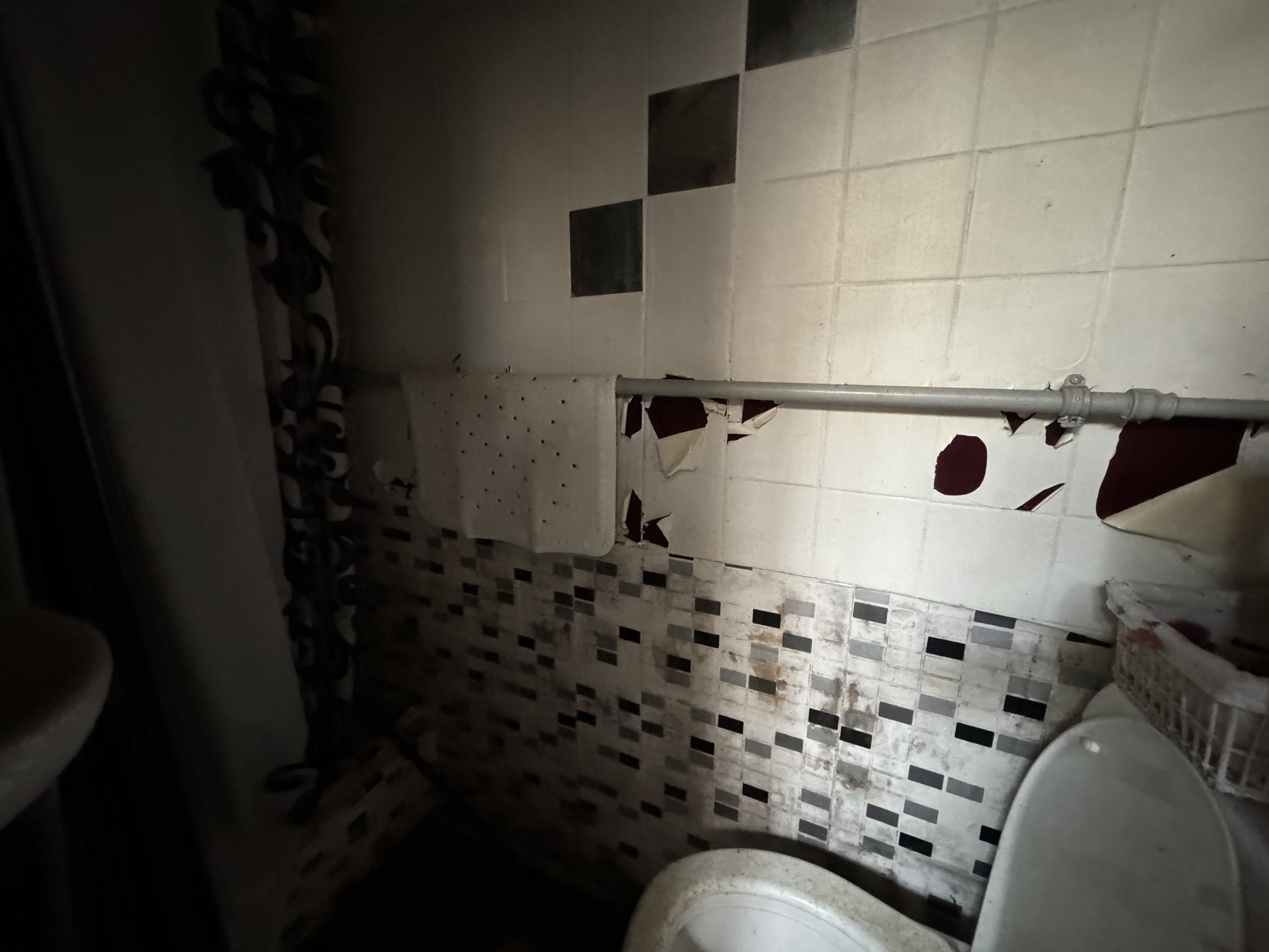 Picture 7