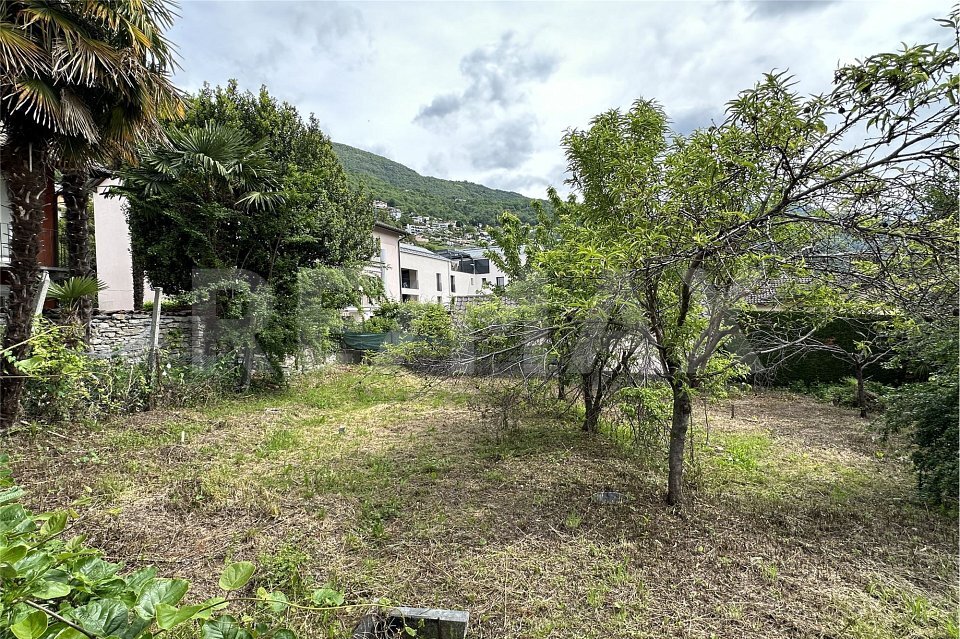 Premier coup d'oeil 3