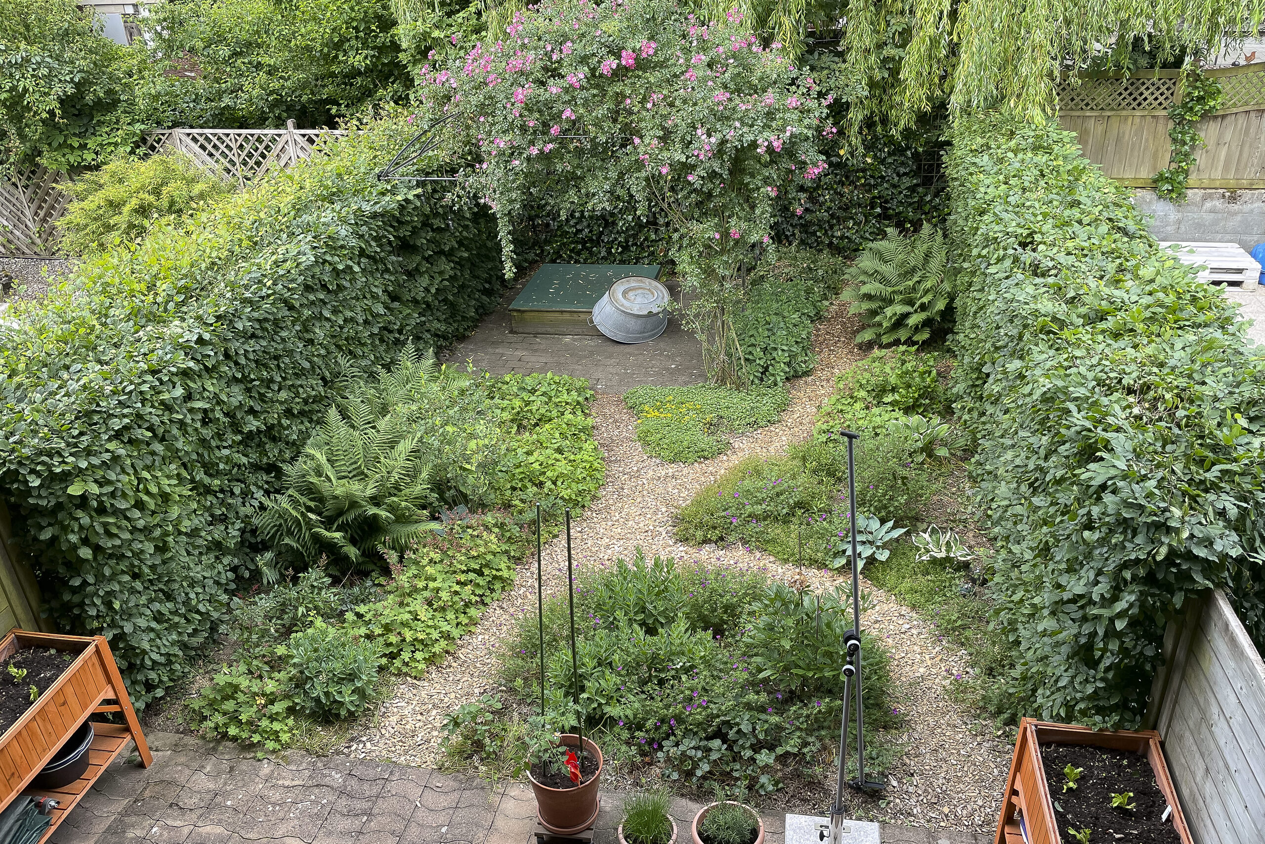 GARTEN_UMSCHWUNG GARTEN_UMSCHWUNG