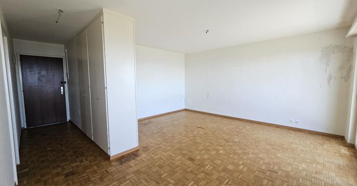 Picture 1