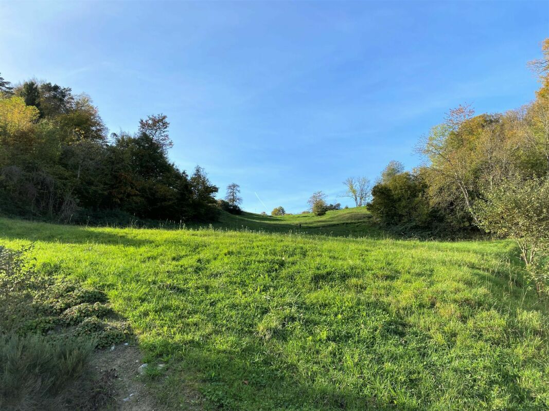 Bauparzelle, Steig, Herdern Bauparzelle, Steig, Herdern