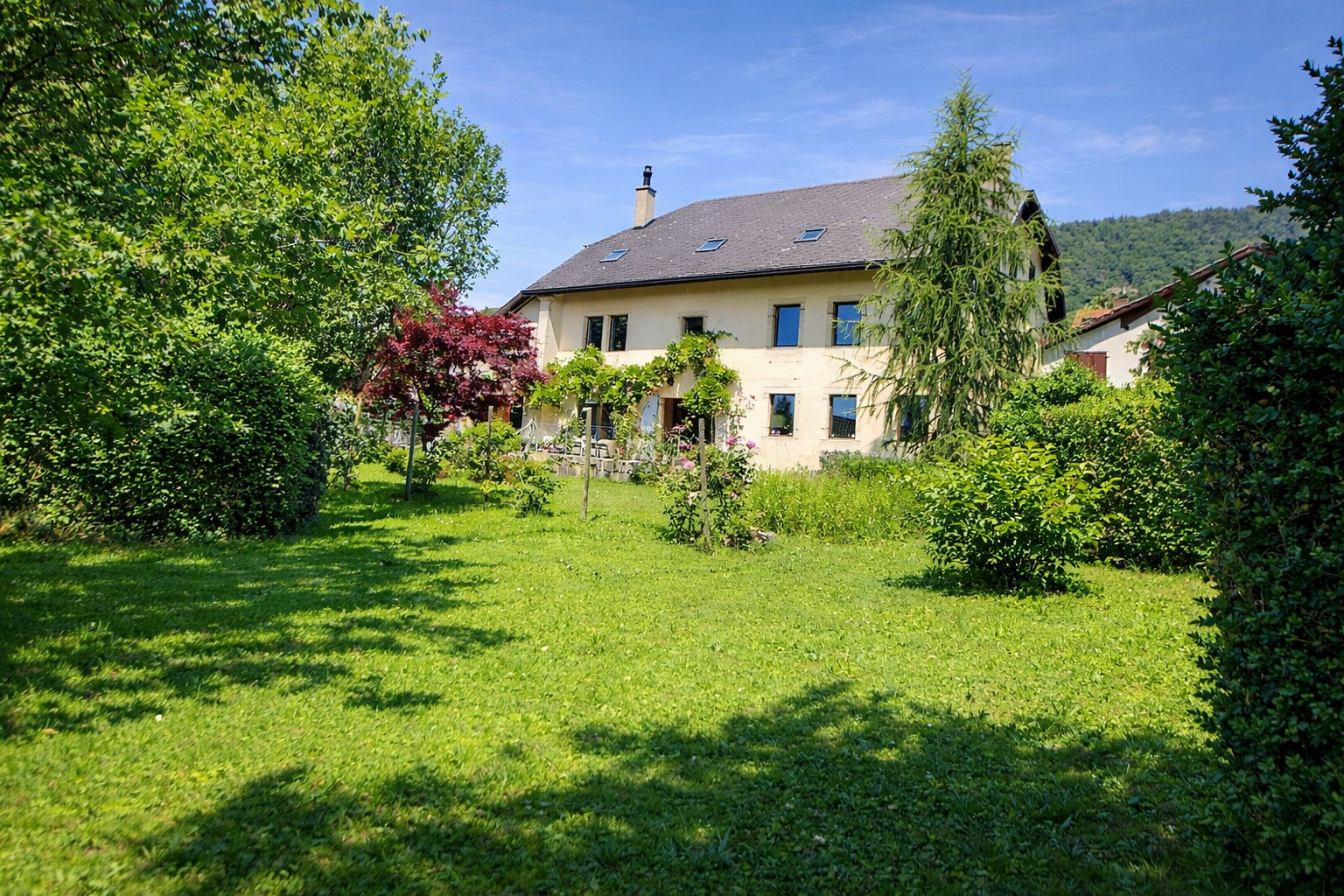 Foto 1