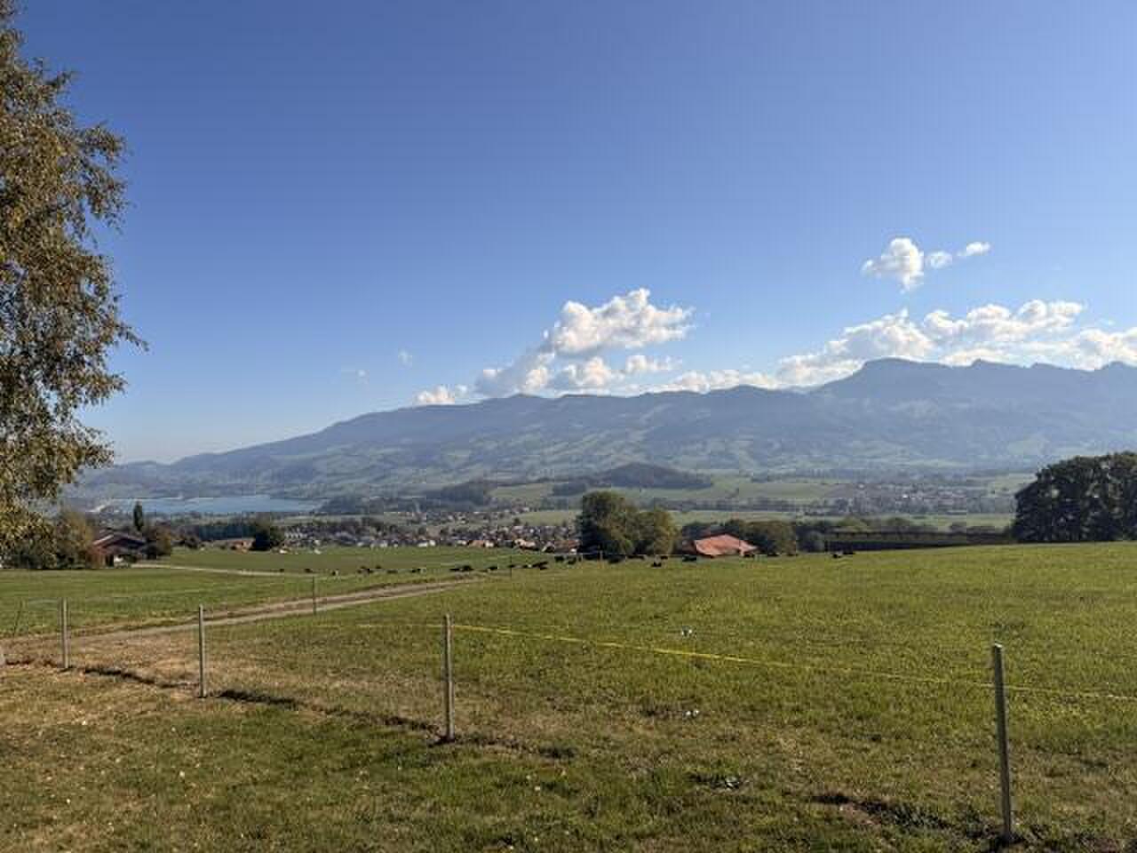 Picture 28