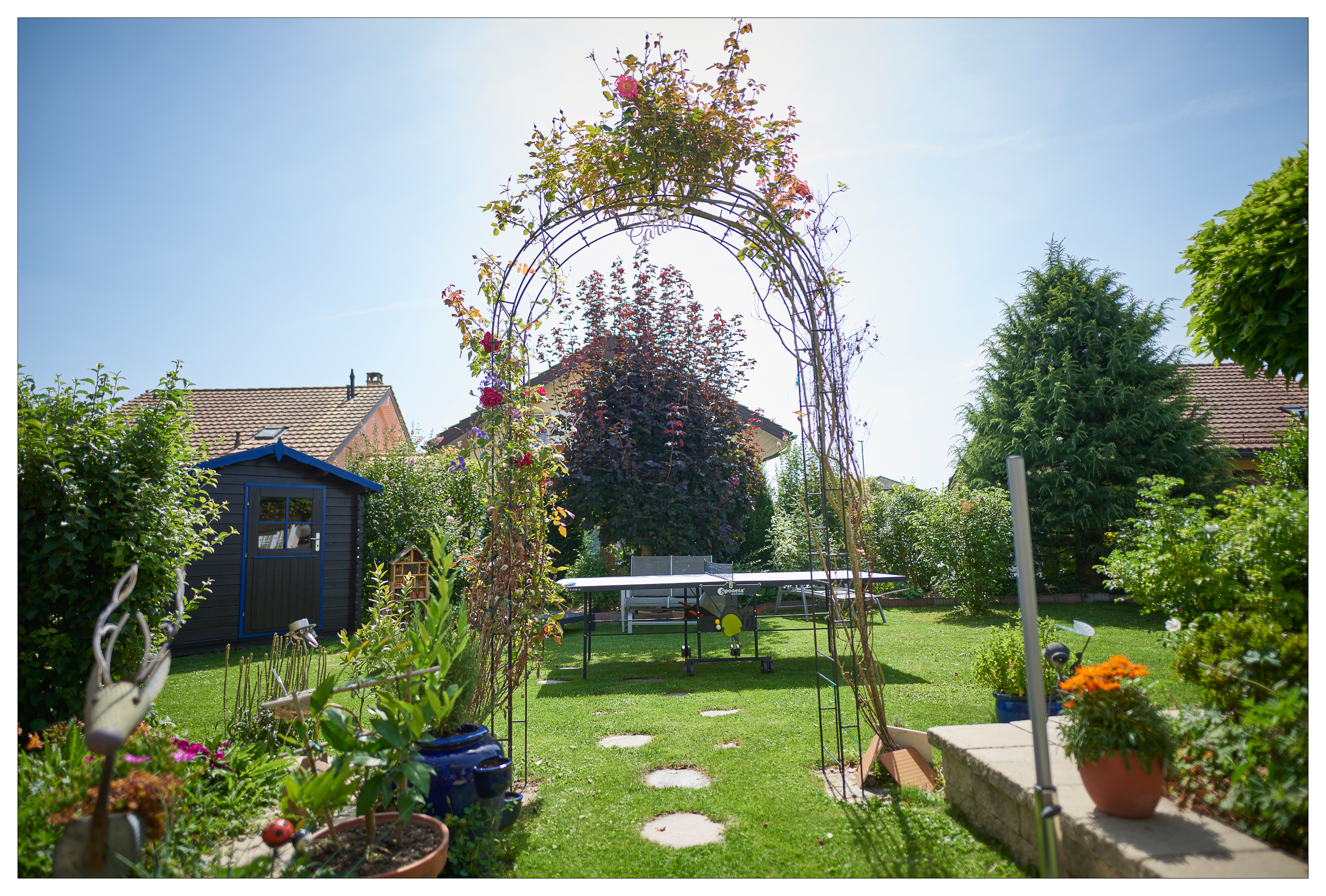 jardin