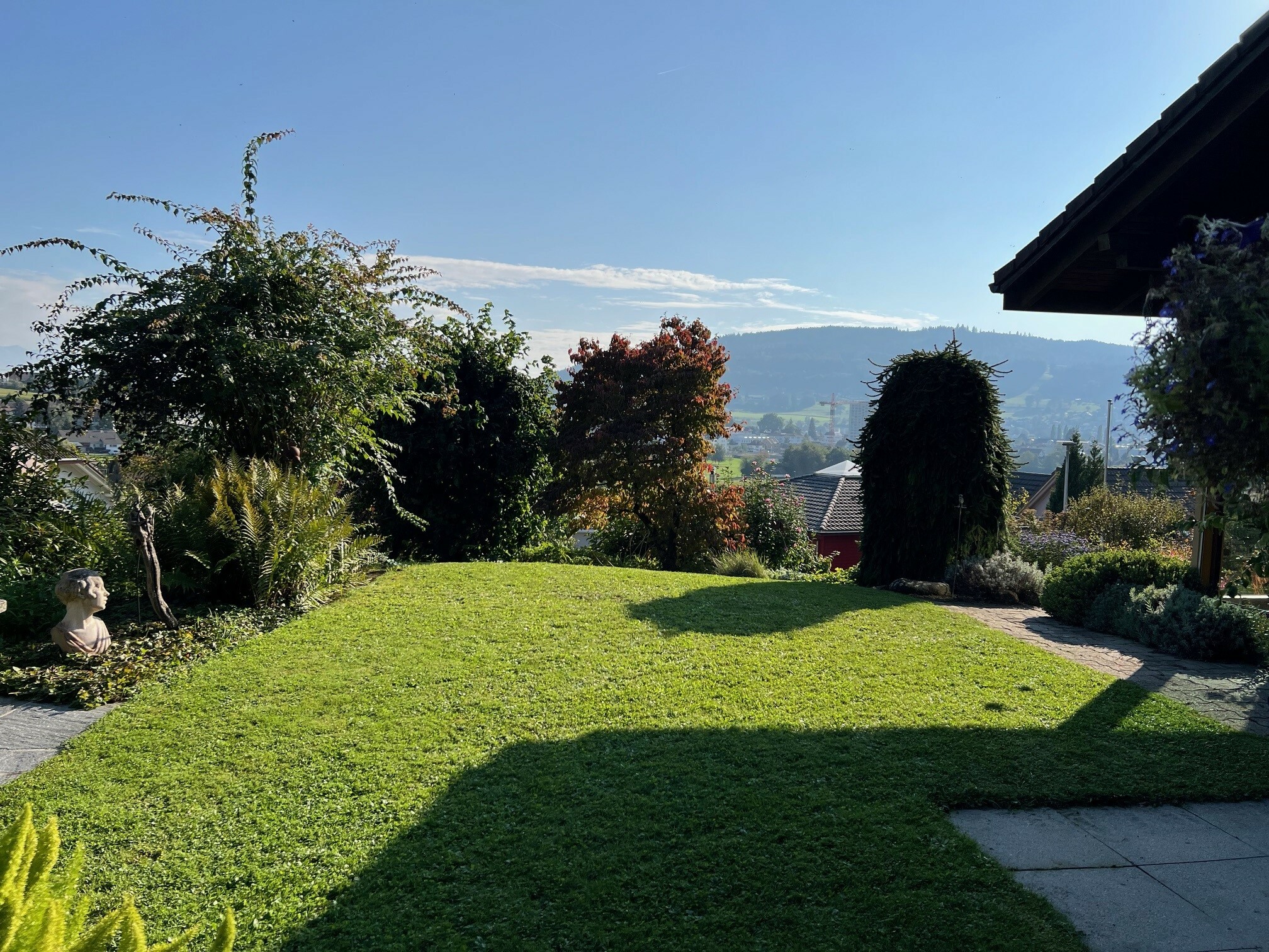 Firstview