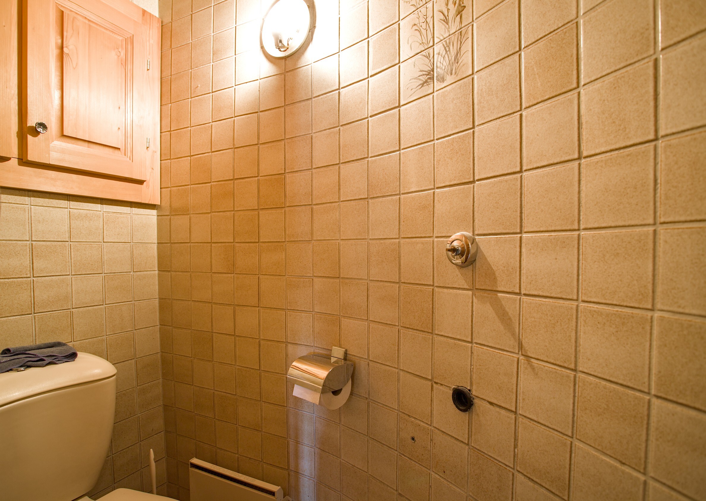 Picture 12