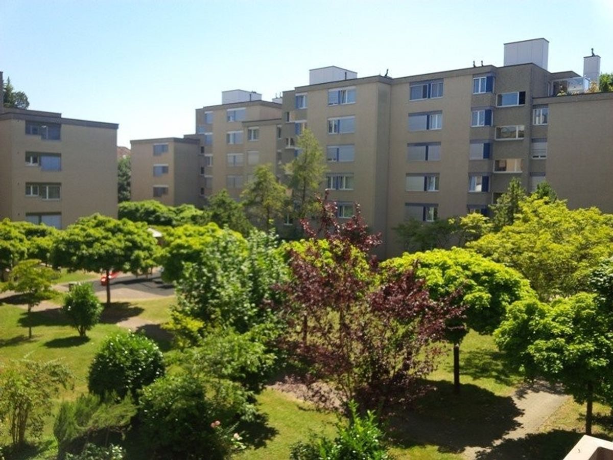 Firstview
