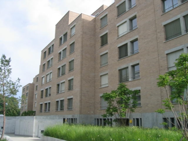 Immagine di copertina