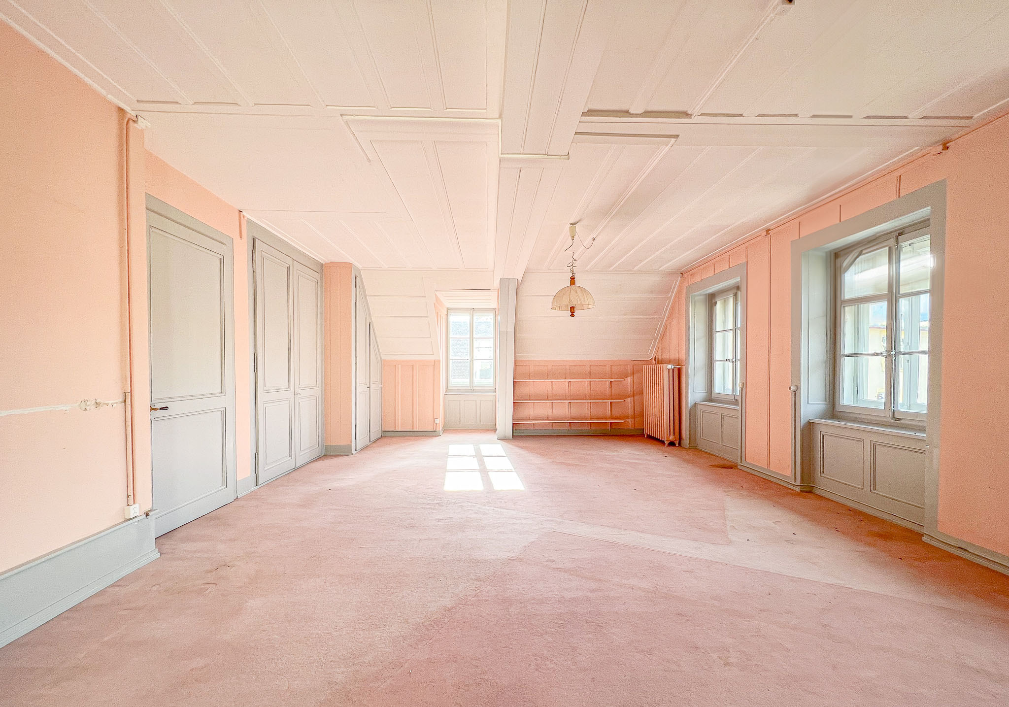 Grand salon lumineux 