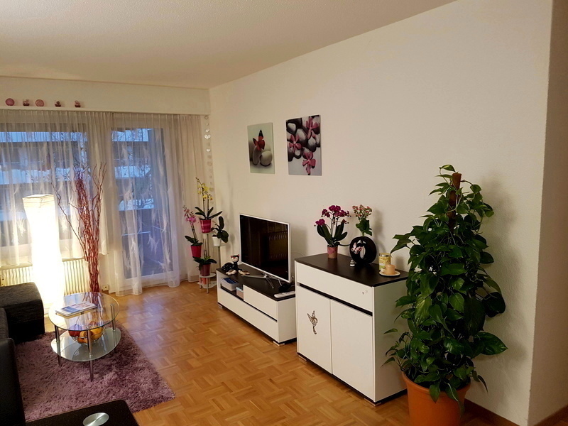 Firstview