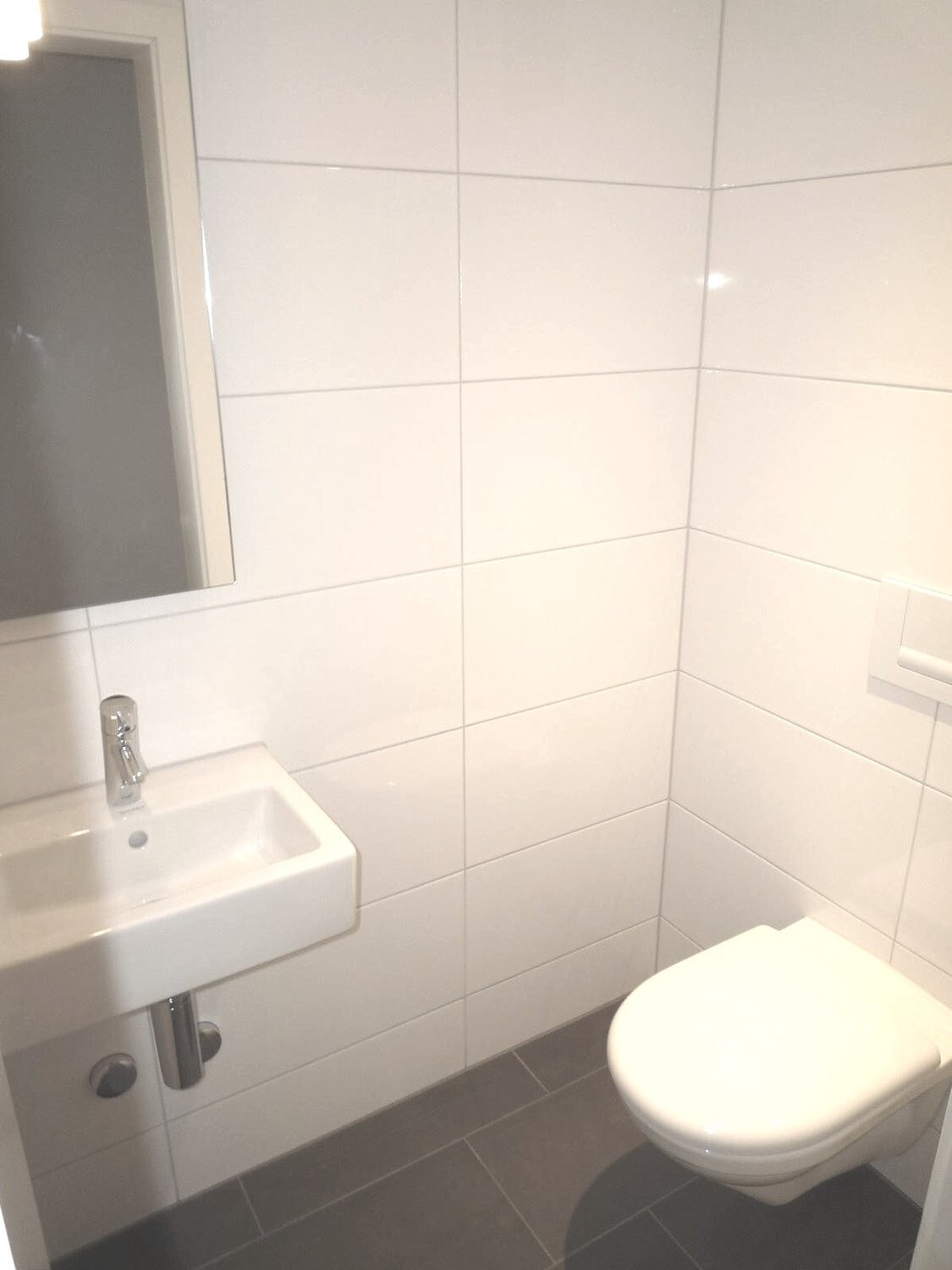 Picture 5