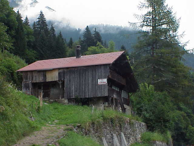 Photo 4