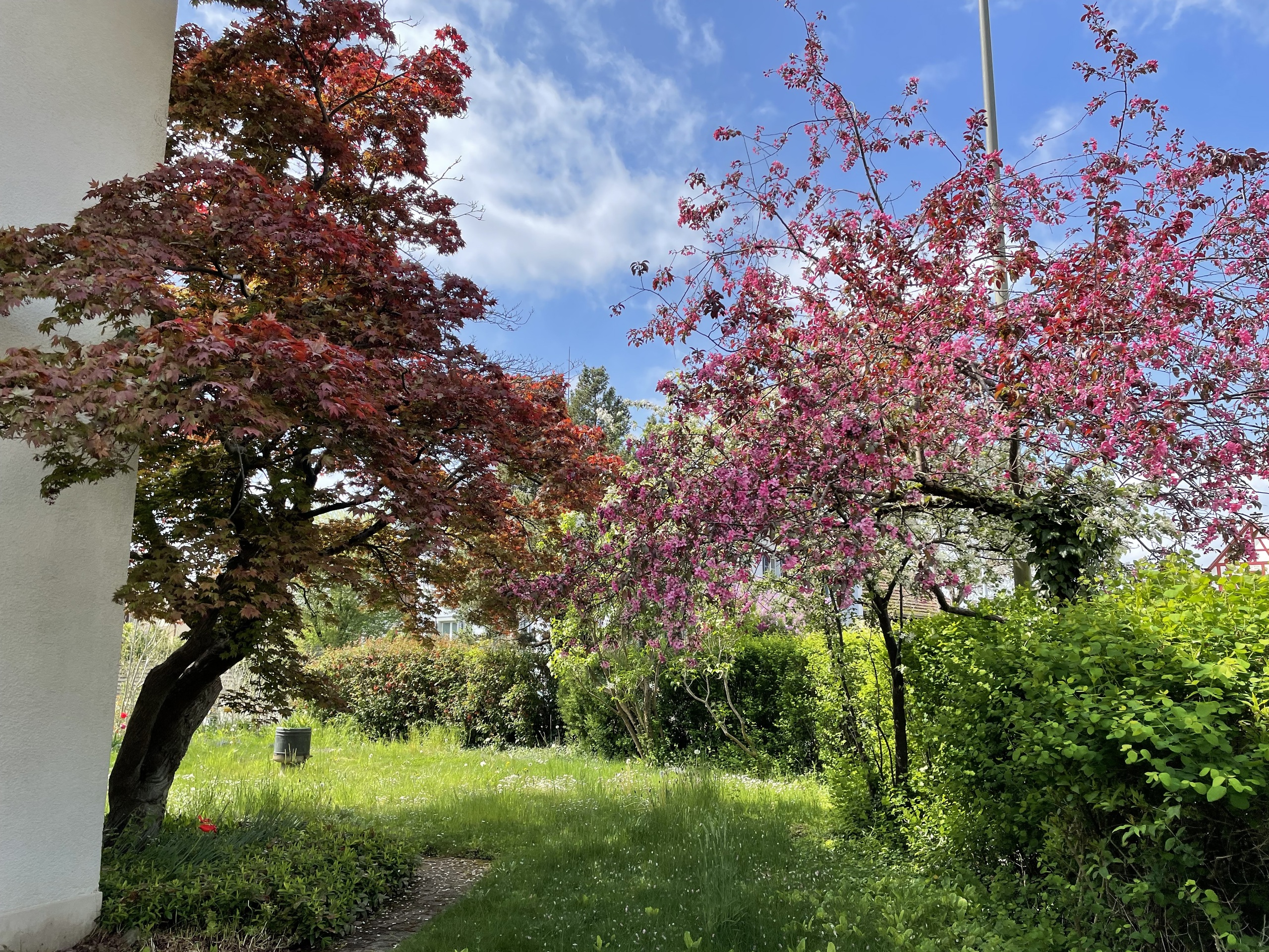 Garten Westseite Garten Westseite