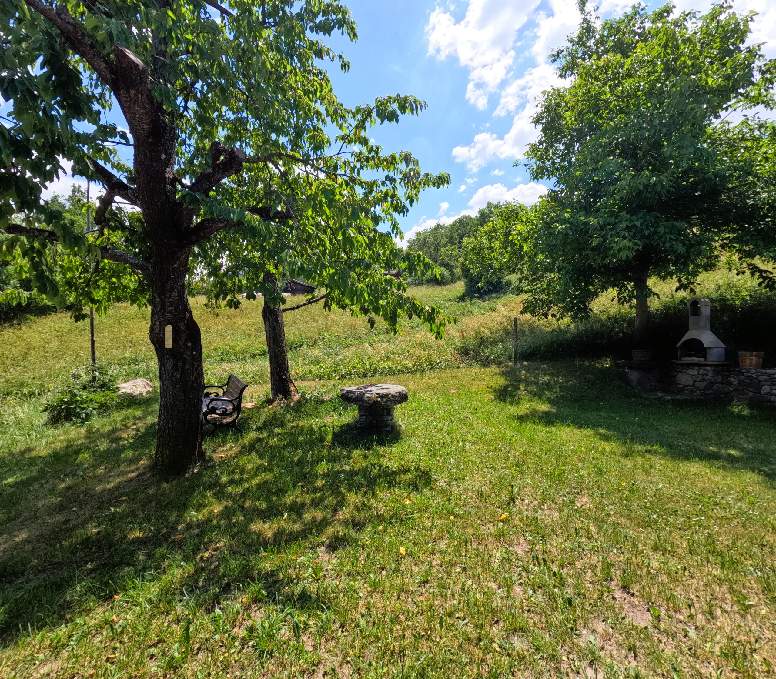 Jardin