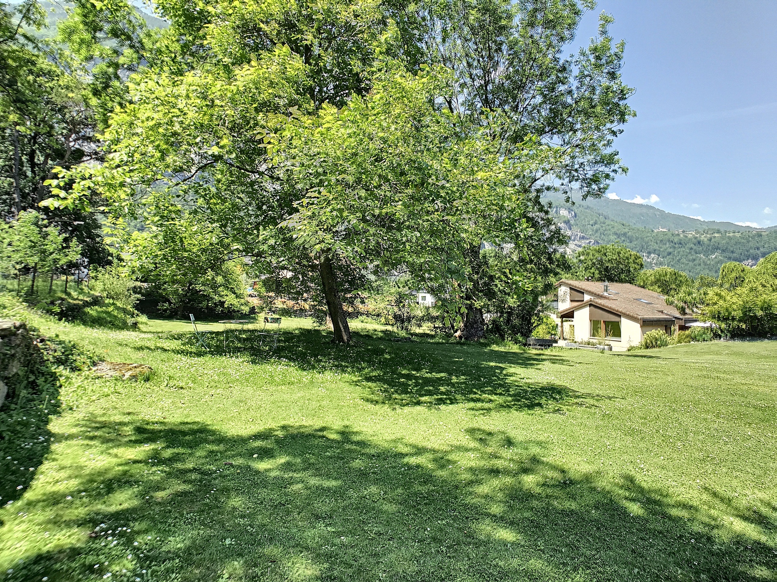 Photo 19