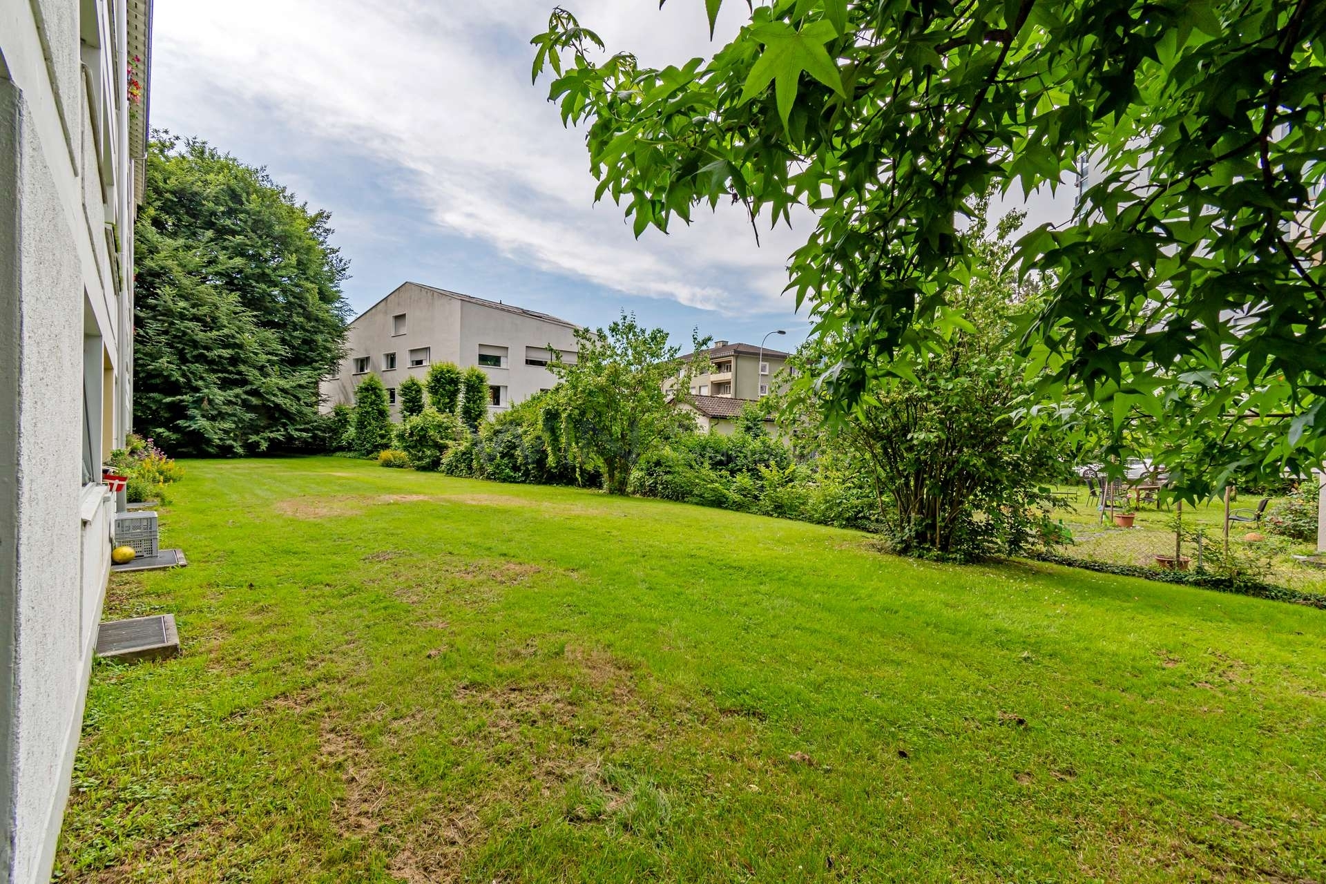 Premier coup d'oeil 1