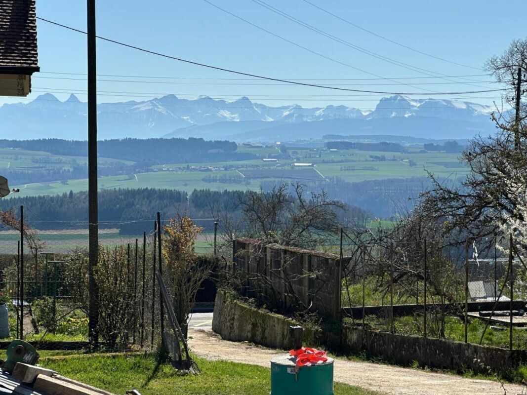 Immagine di copertina 2