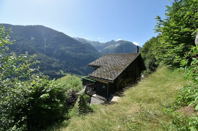Immagine di copertina