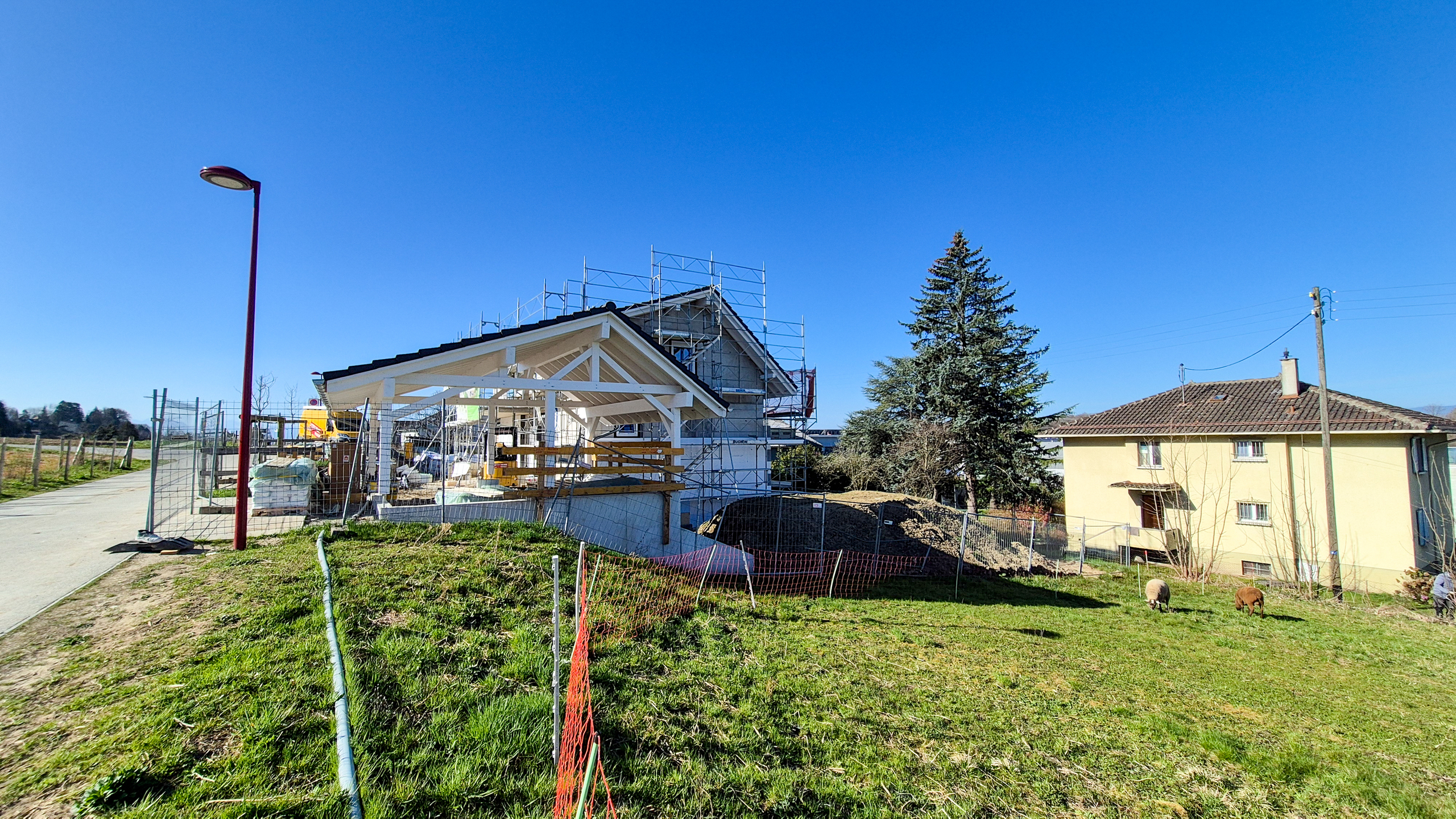 Photo 6