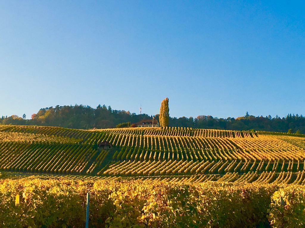 Environnement Environnement