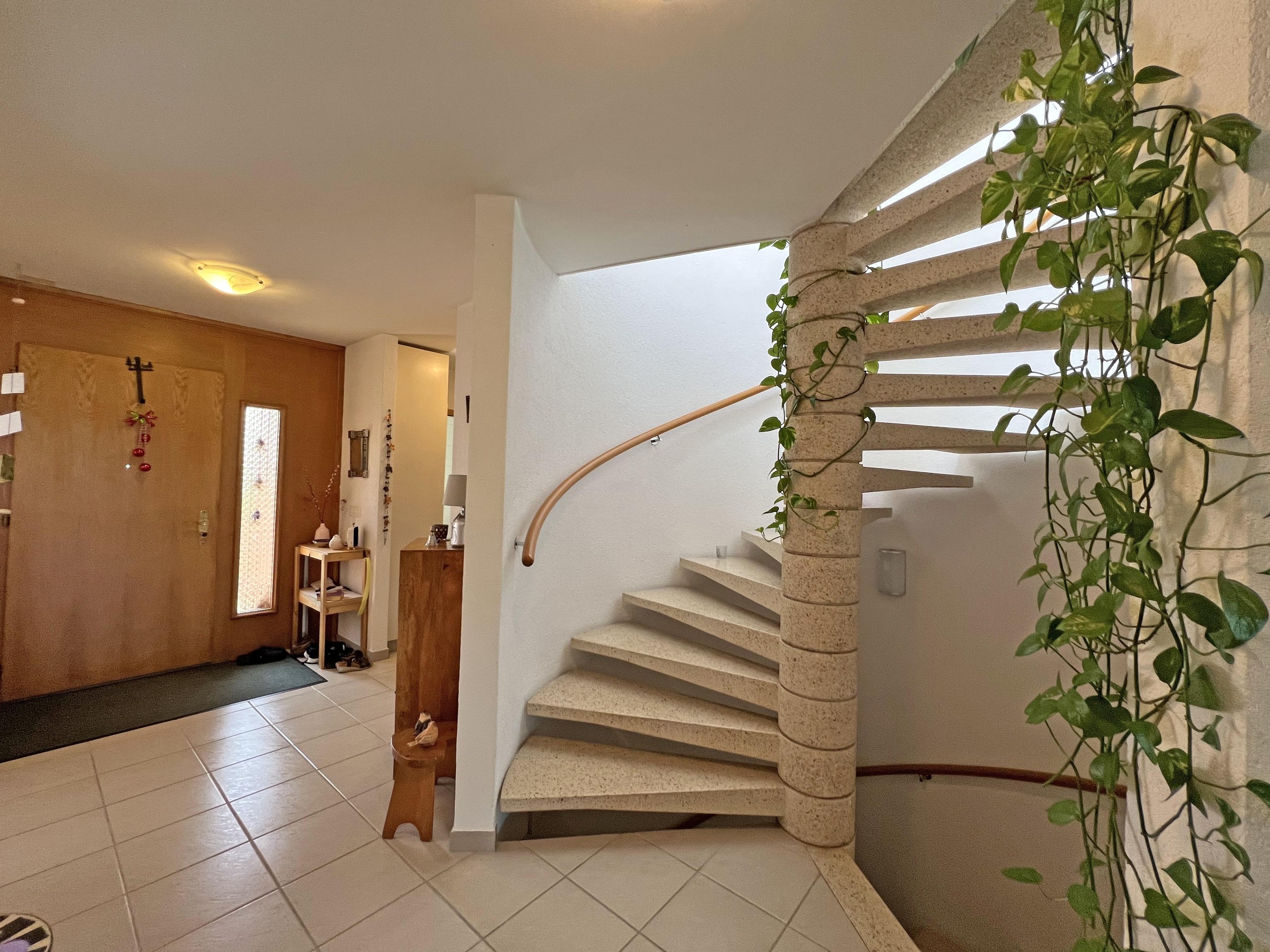 Rez - Dégagement et hall d'entrée
