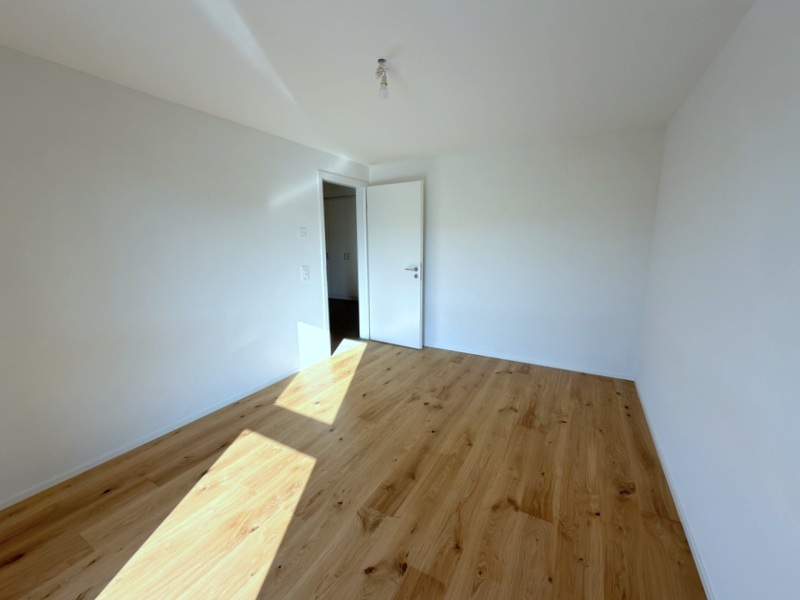 Interior view 7