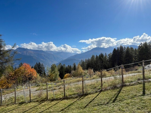 Les Mischabels, 3.5 pièces, rez-supérieur