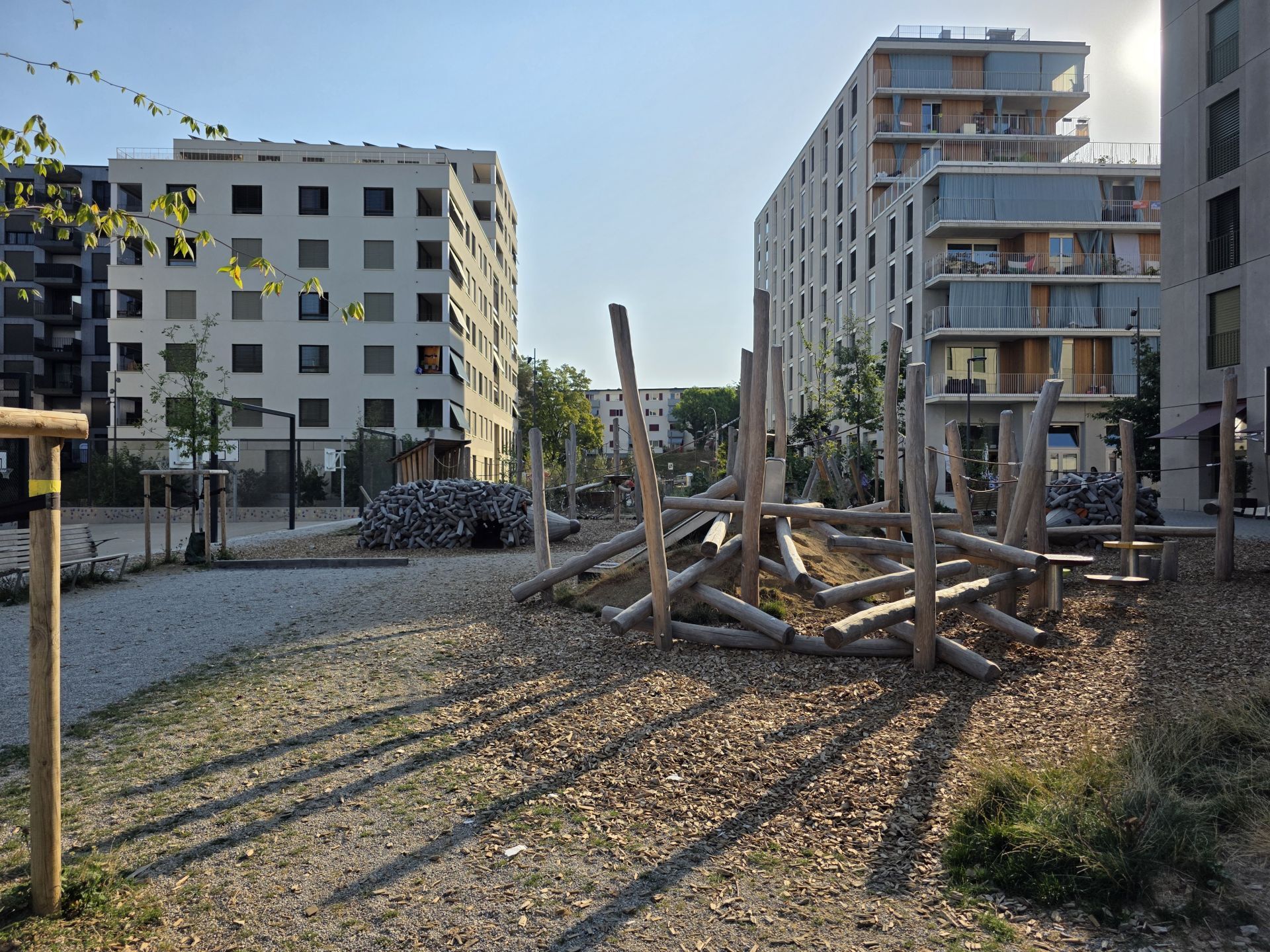 Photo 11