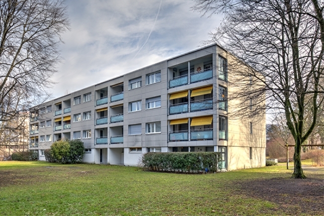 Immagine di copertina