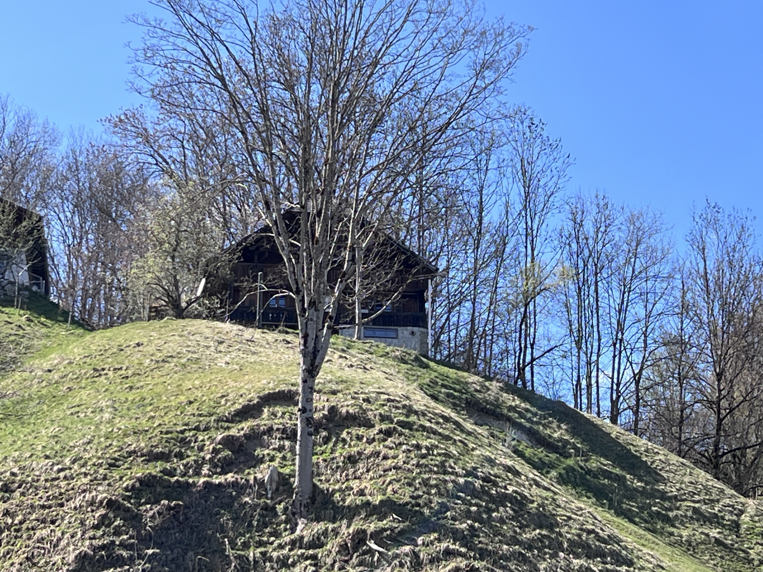 Aussenansicht 3