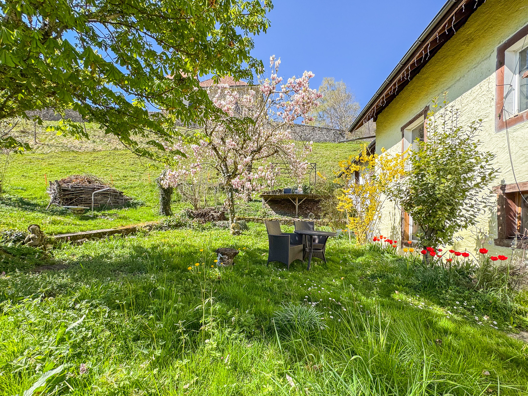 Beau jardin exposé Sud