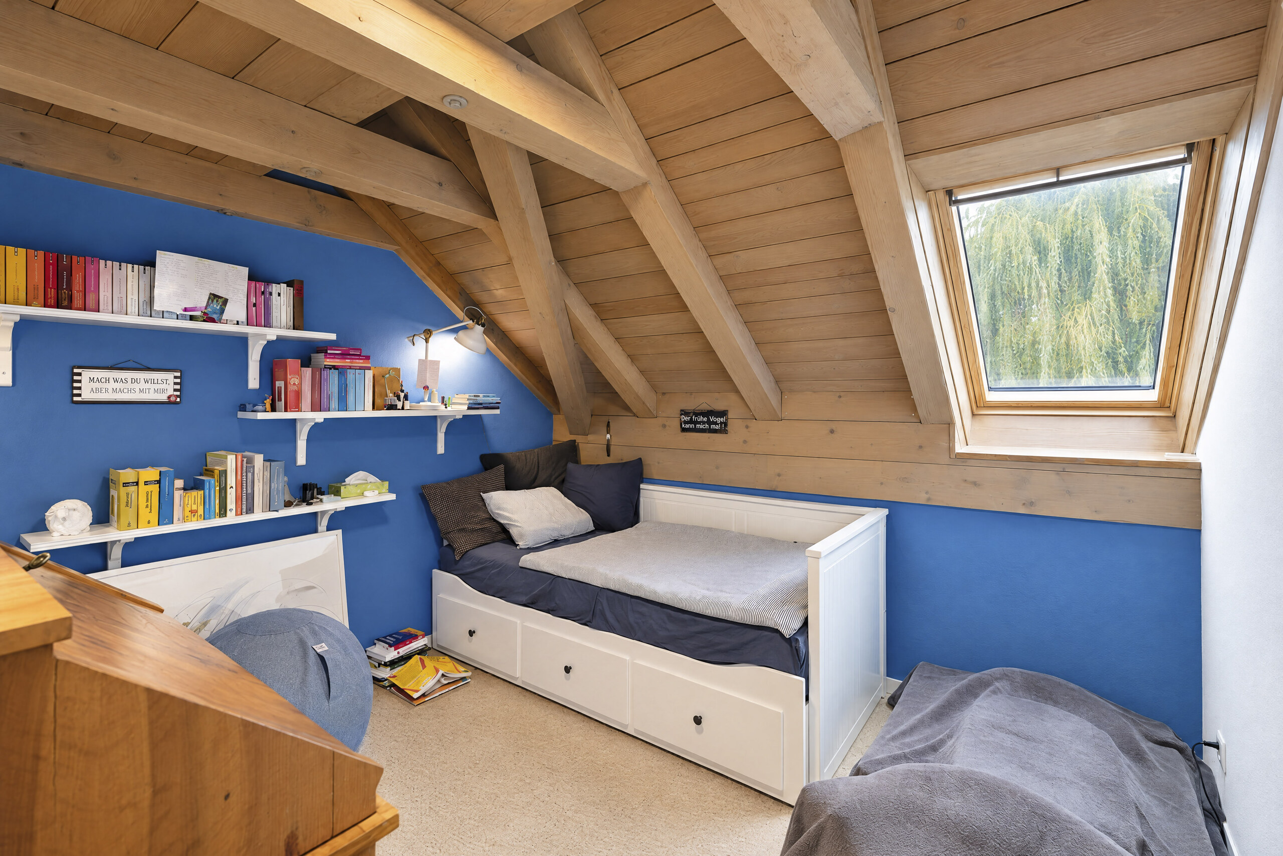 ZIMMER 1 DG ZIMMER 1 DG