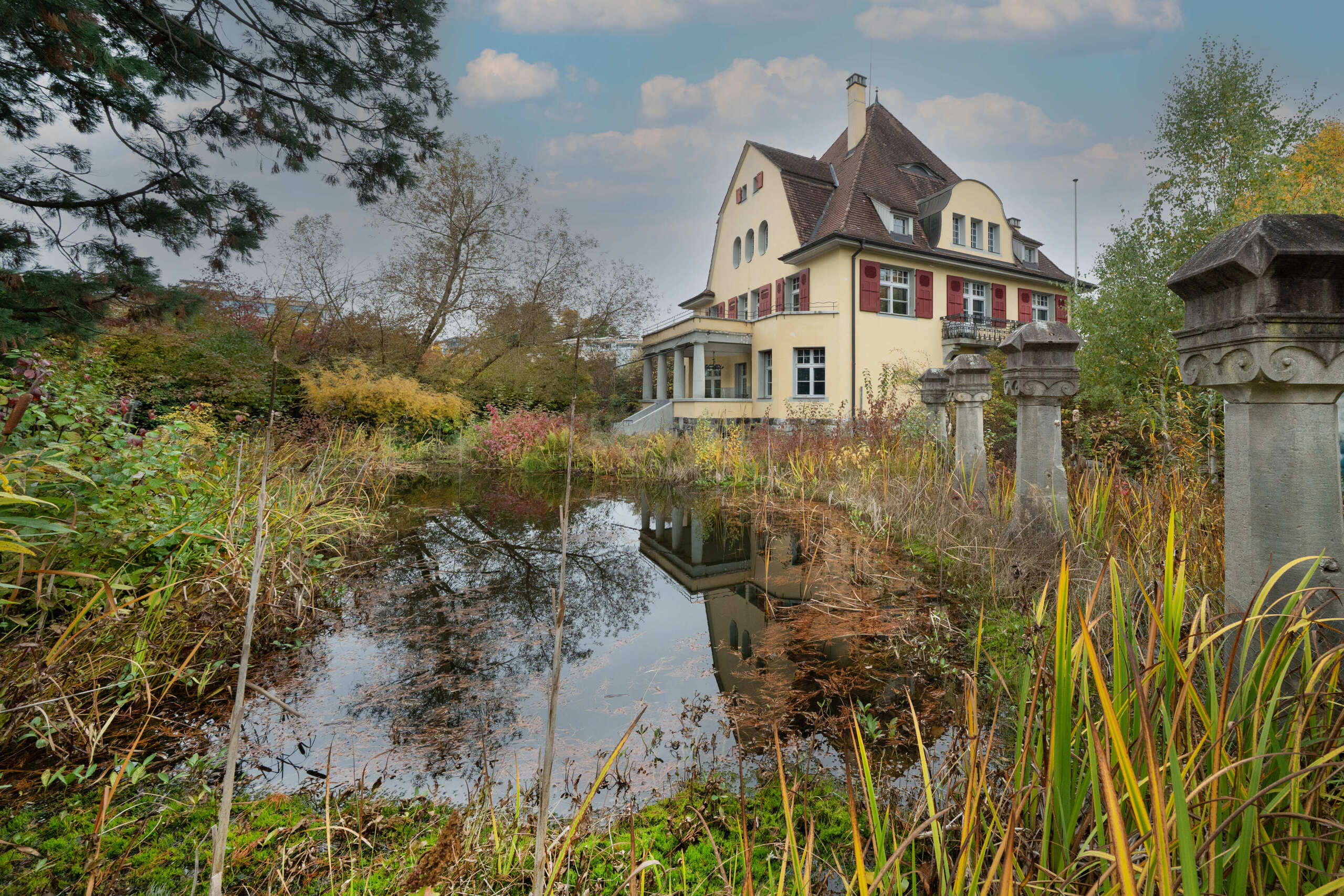 Immagine di copertina