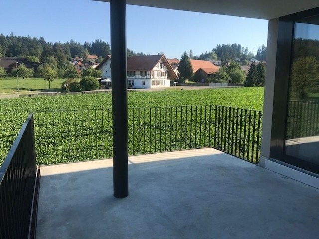 Picture 10