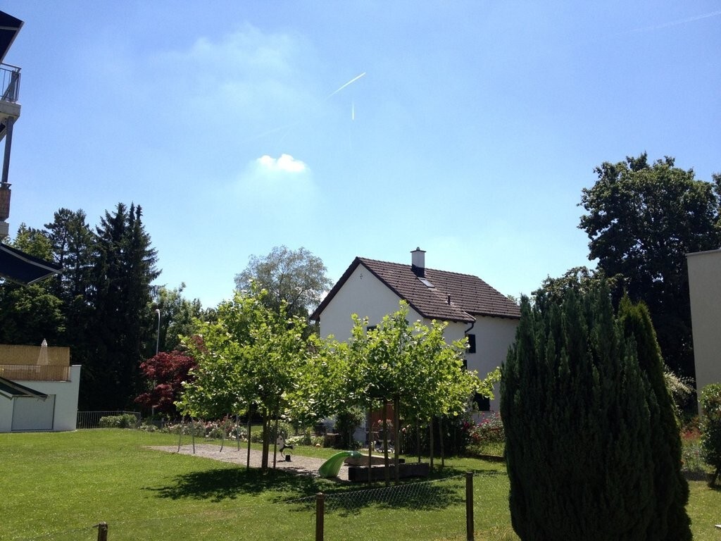 Picture 7