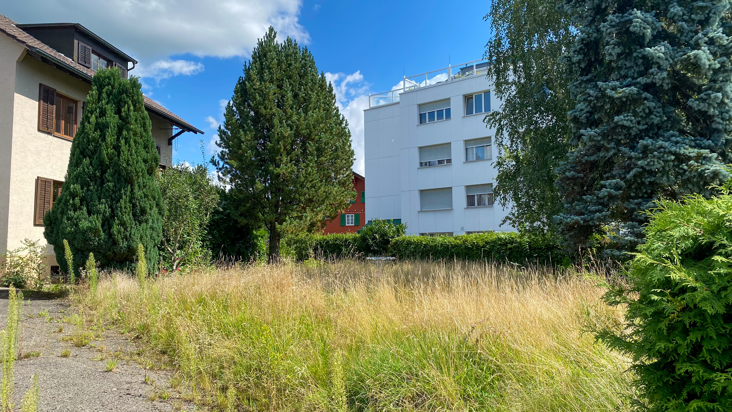 Projet immobilier à Marly avec appartements à vendre, le terrain