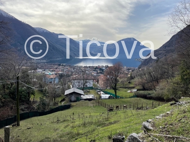 Immagine di copertina