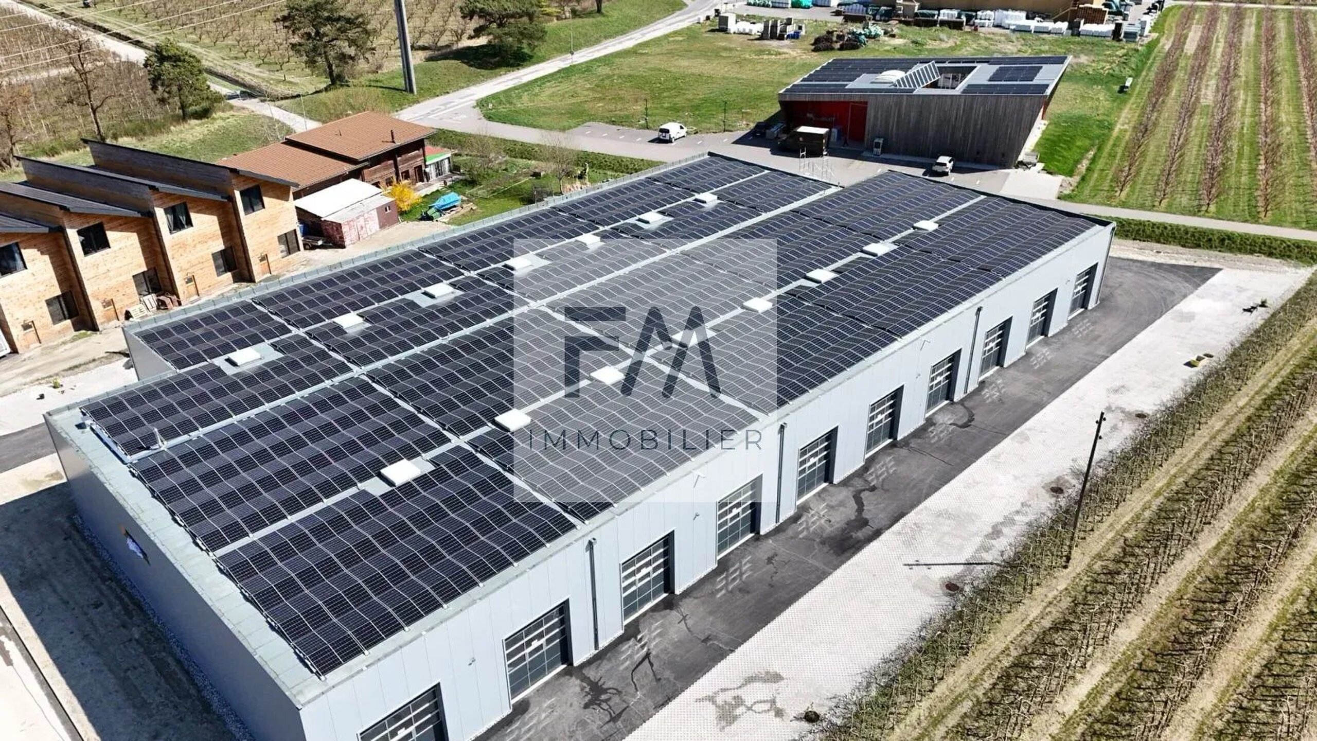 Foto 2