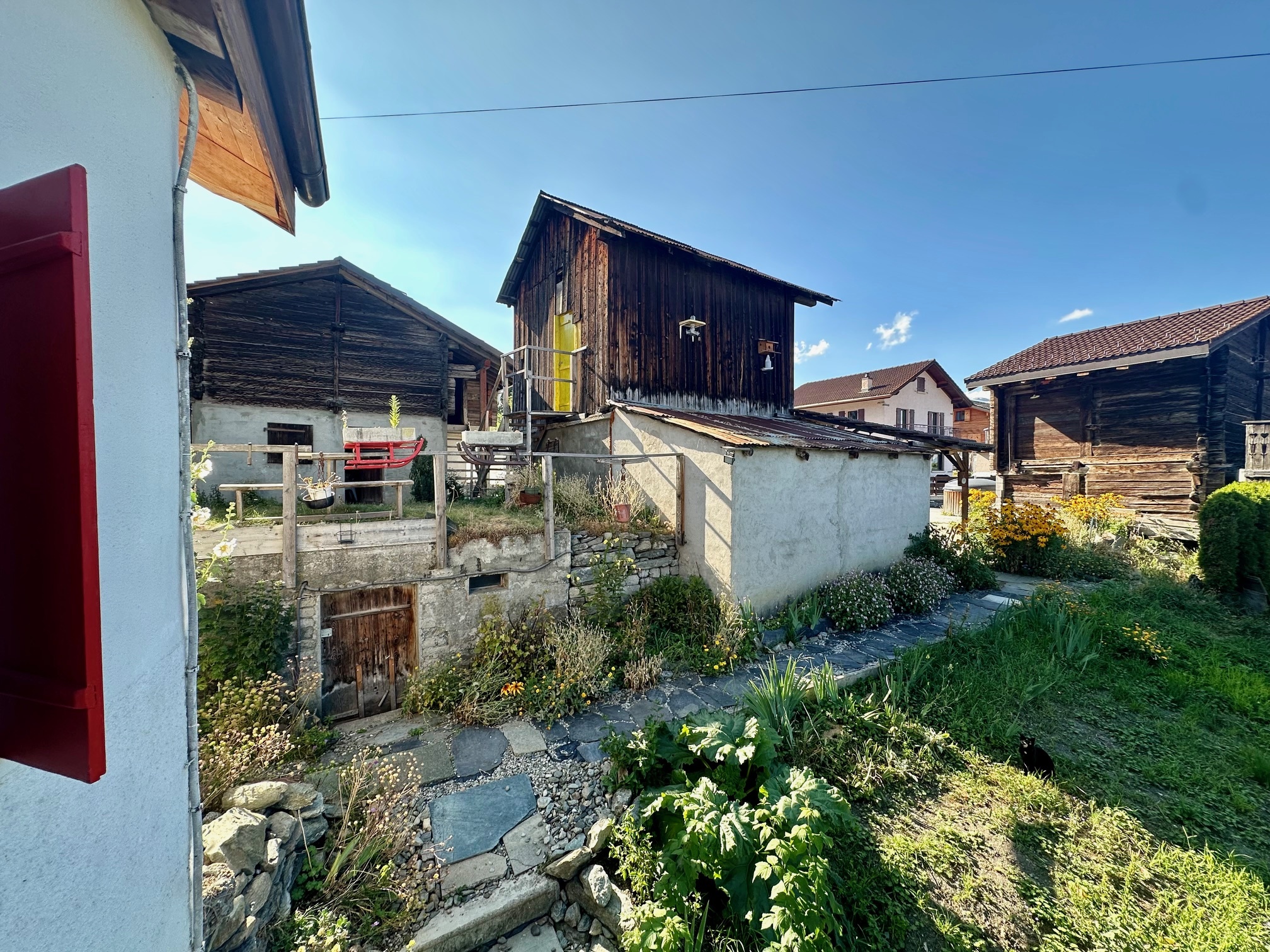 Foto 5