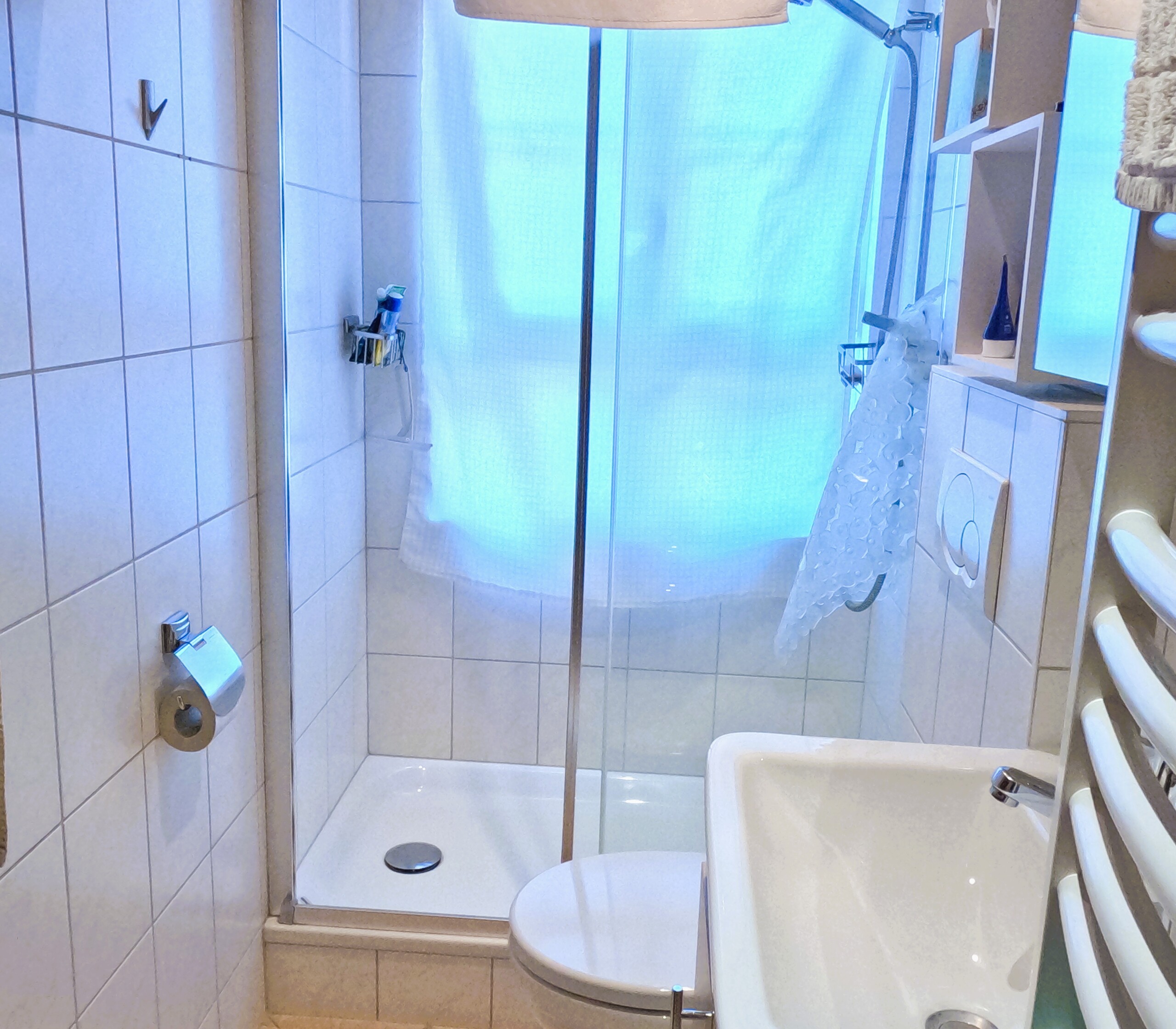 Salle d'eau avec douche, lavabo, WC et sèche-serviettes