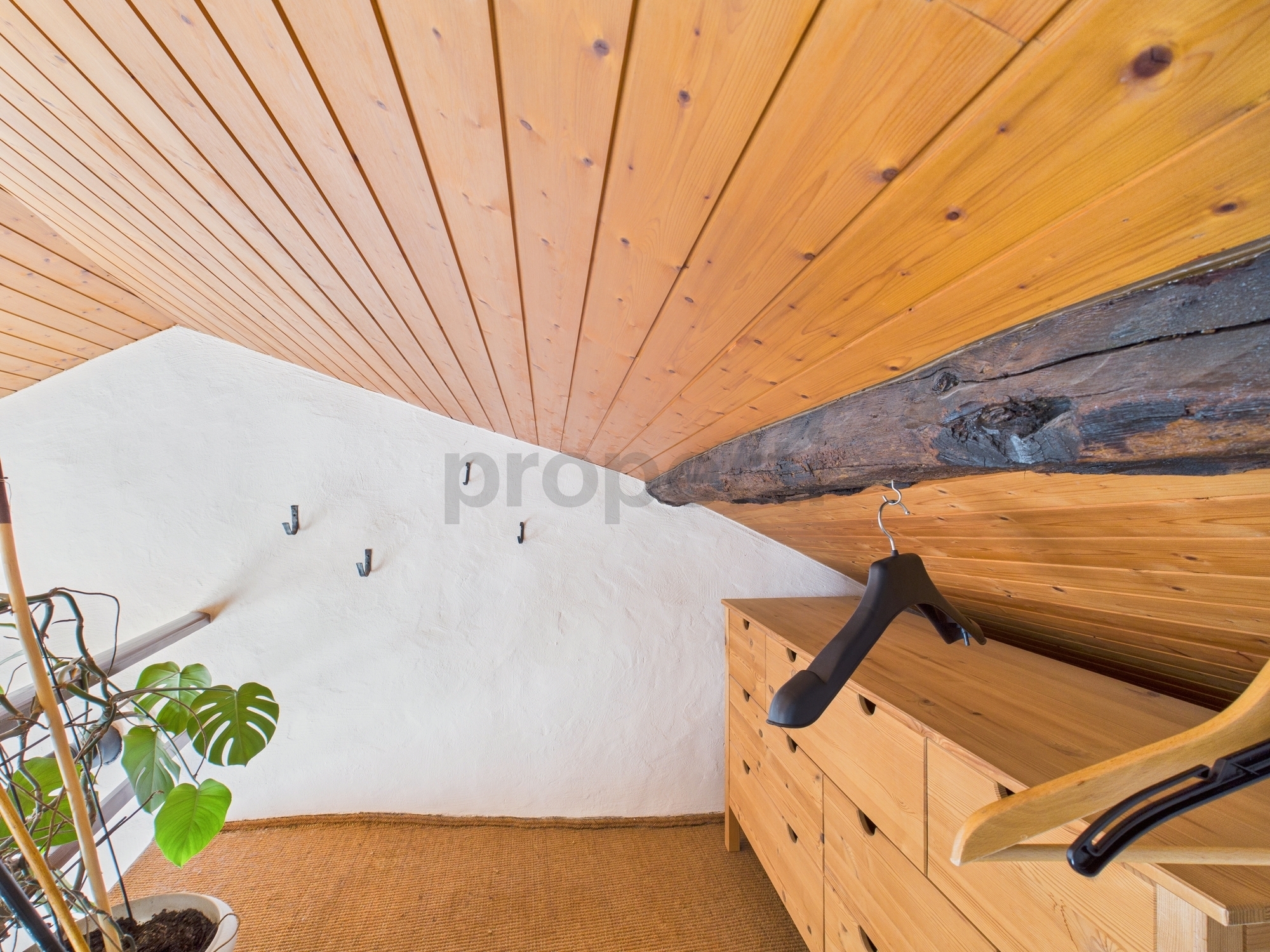Image 6 Image 6