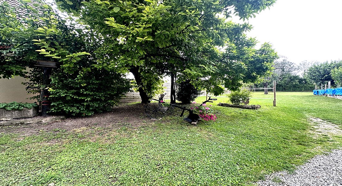 Foto 14