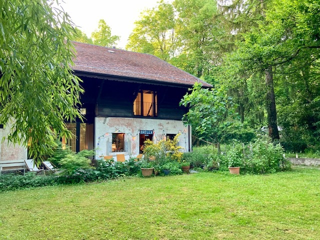 Foto 11