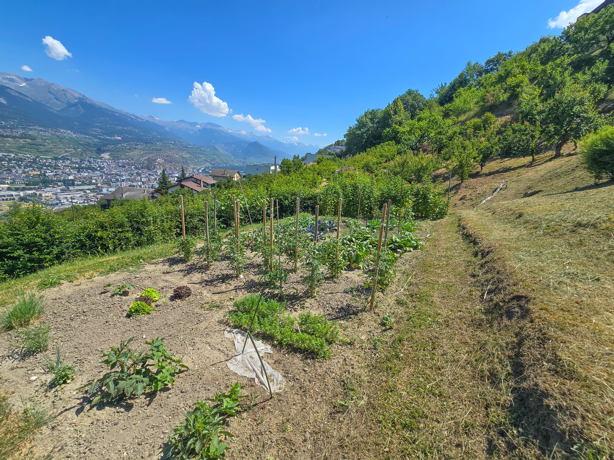 Vista esteriore 4