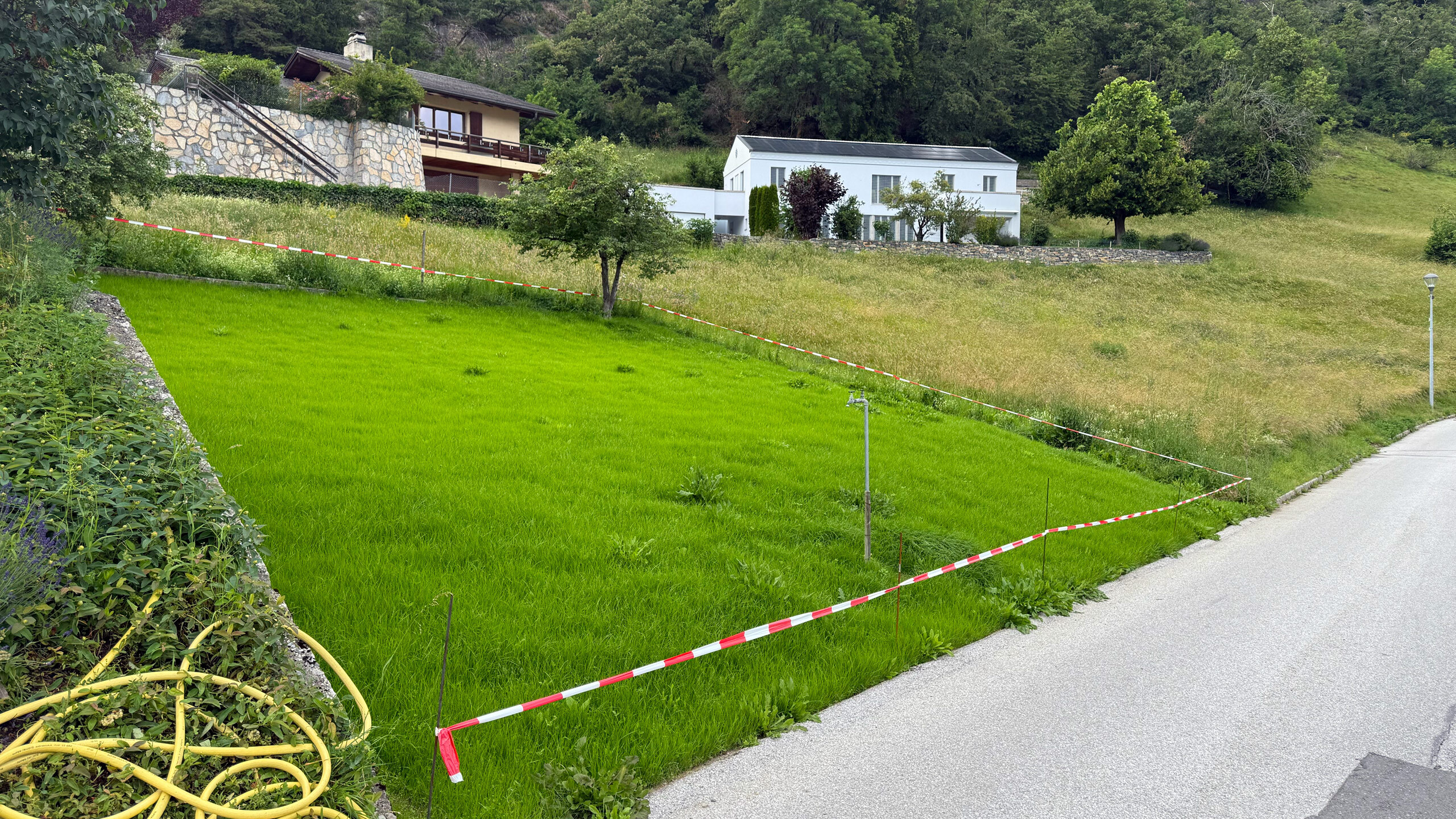 Terrain à construire en légère pente à Flanthey