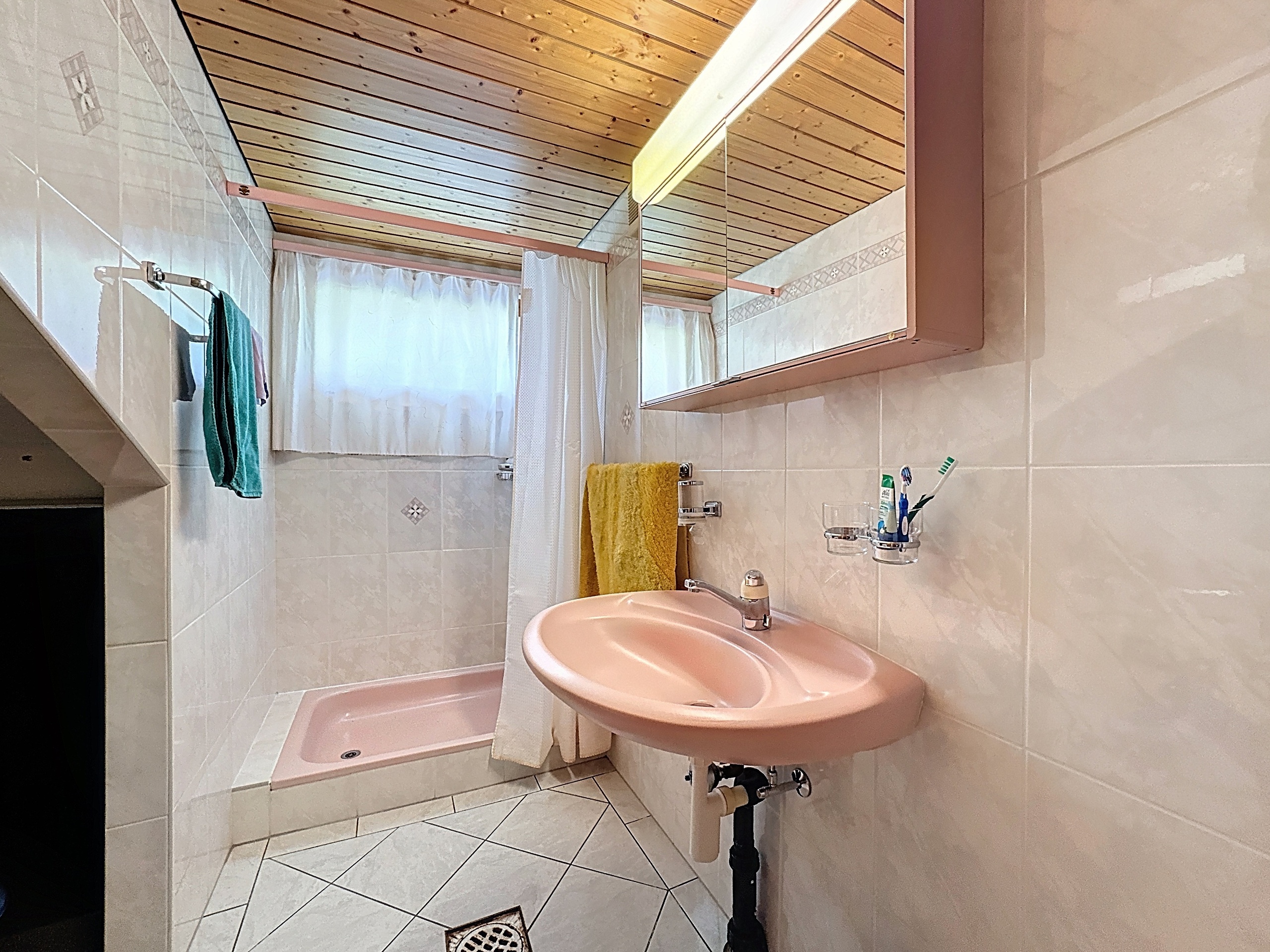 Salle de douche rez-inférieur
