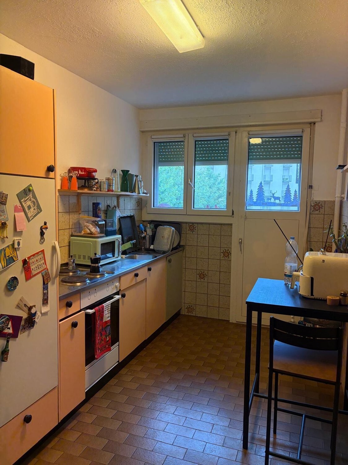 Foto 1